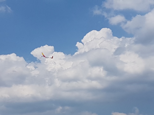 Valley Loire Trophy 2018  Galerie AMCA001104