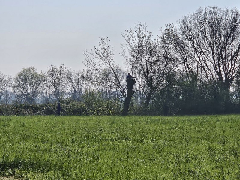 Travaux terrain du 21 mars 2026 (10)