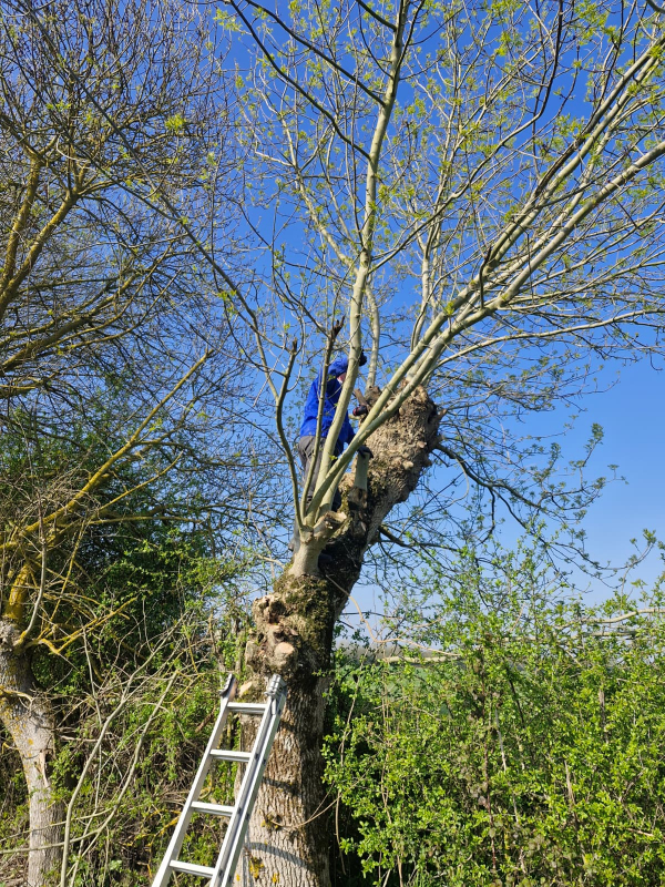 travaux terrain du 21 mars 2026 21 20260322 1943910334