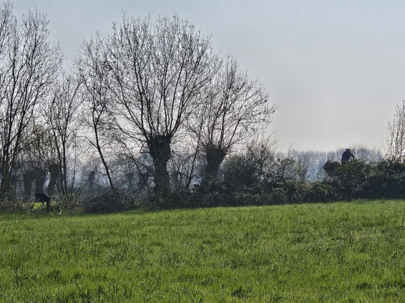 Travaux terrain du 21 mars 2026 (6)