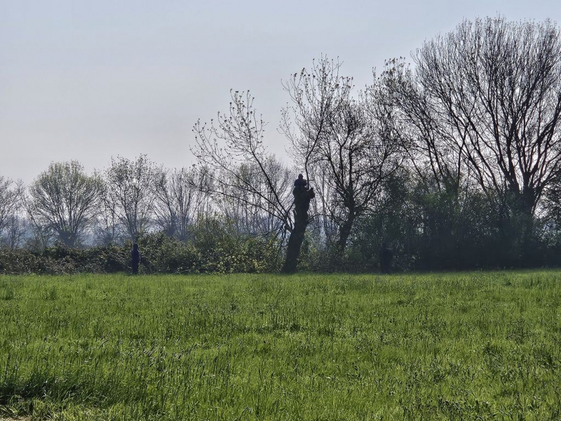 Travaux terrain du 21 mars 2026 (9)