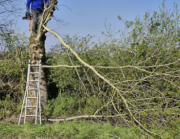 Travaux terrain du 21 mars 2026 (20)