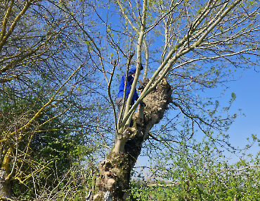 Travaux terrain du 21 mars 2026 (21)