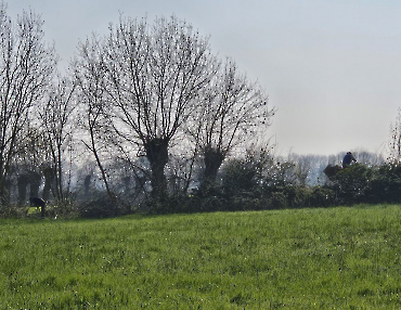 Travaux terrain du 21 mars 2026 (6)