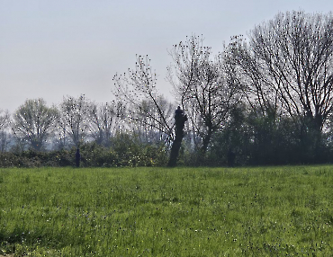 Travaux terrain du 21 mars 2026 (9)